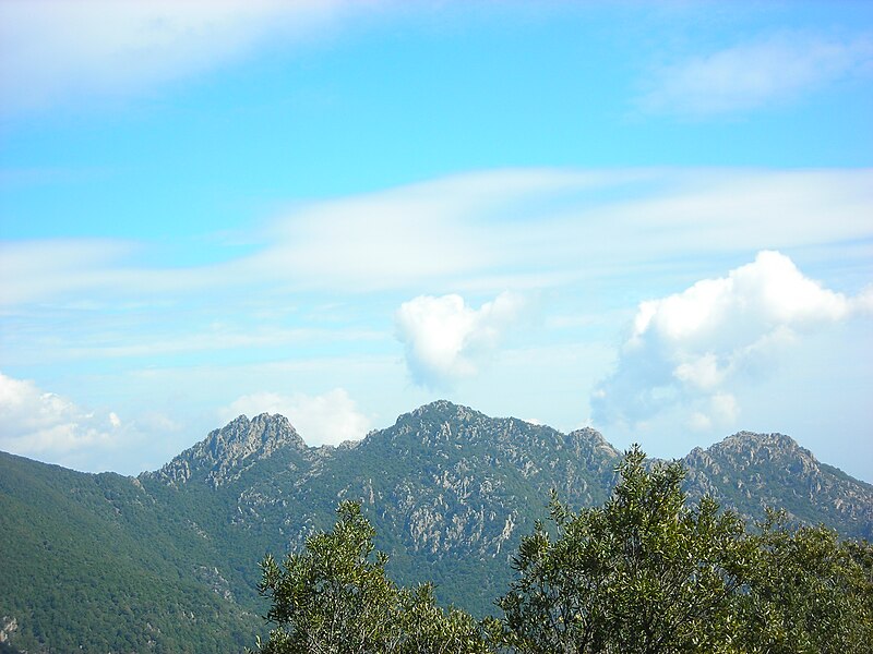 MONTE LATTIAS