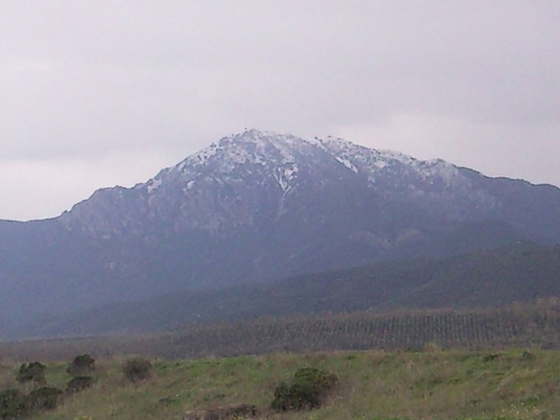 MONTE ARCOSU