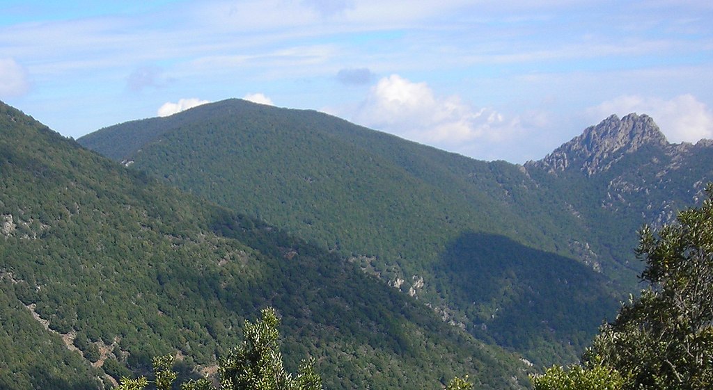 MONTE CARAVIUS