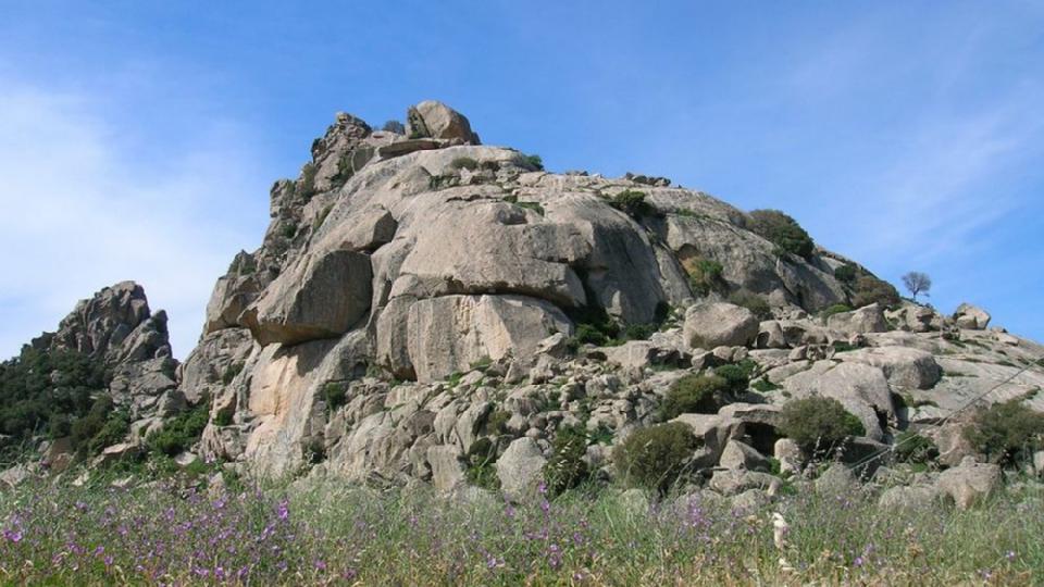 Aggius