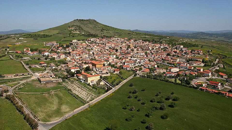Genoni