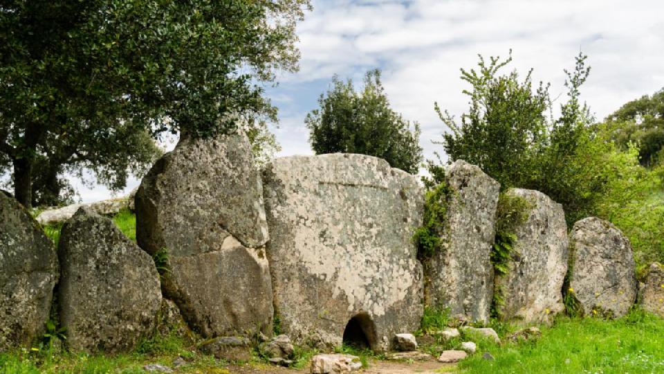 Berchidda